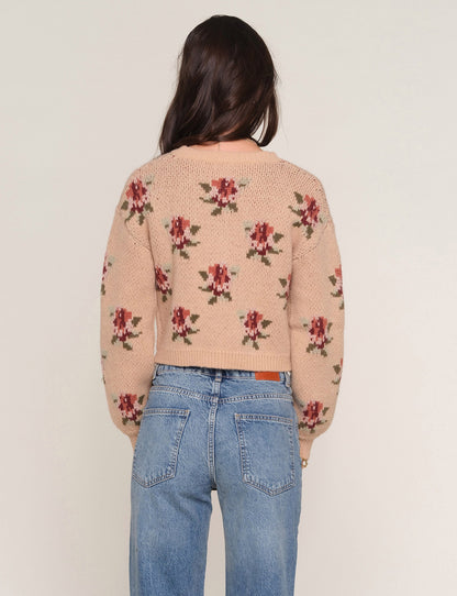 louis cardi