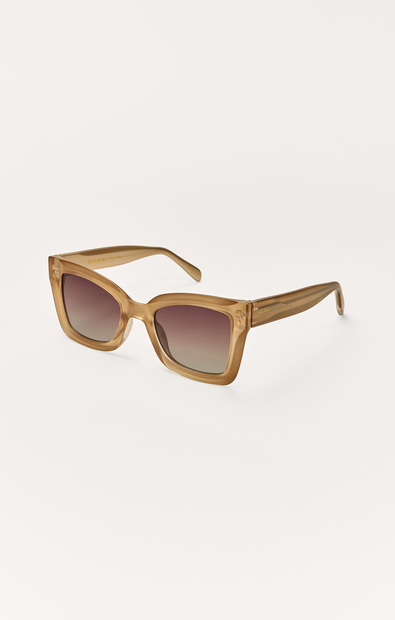 Confidential Polarized Sunglasses