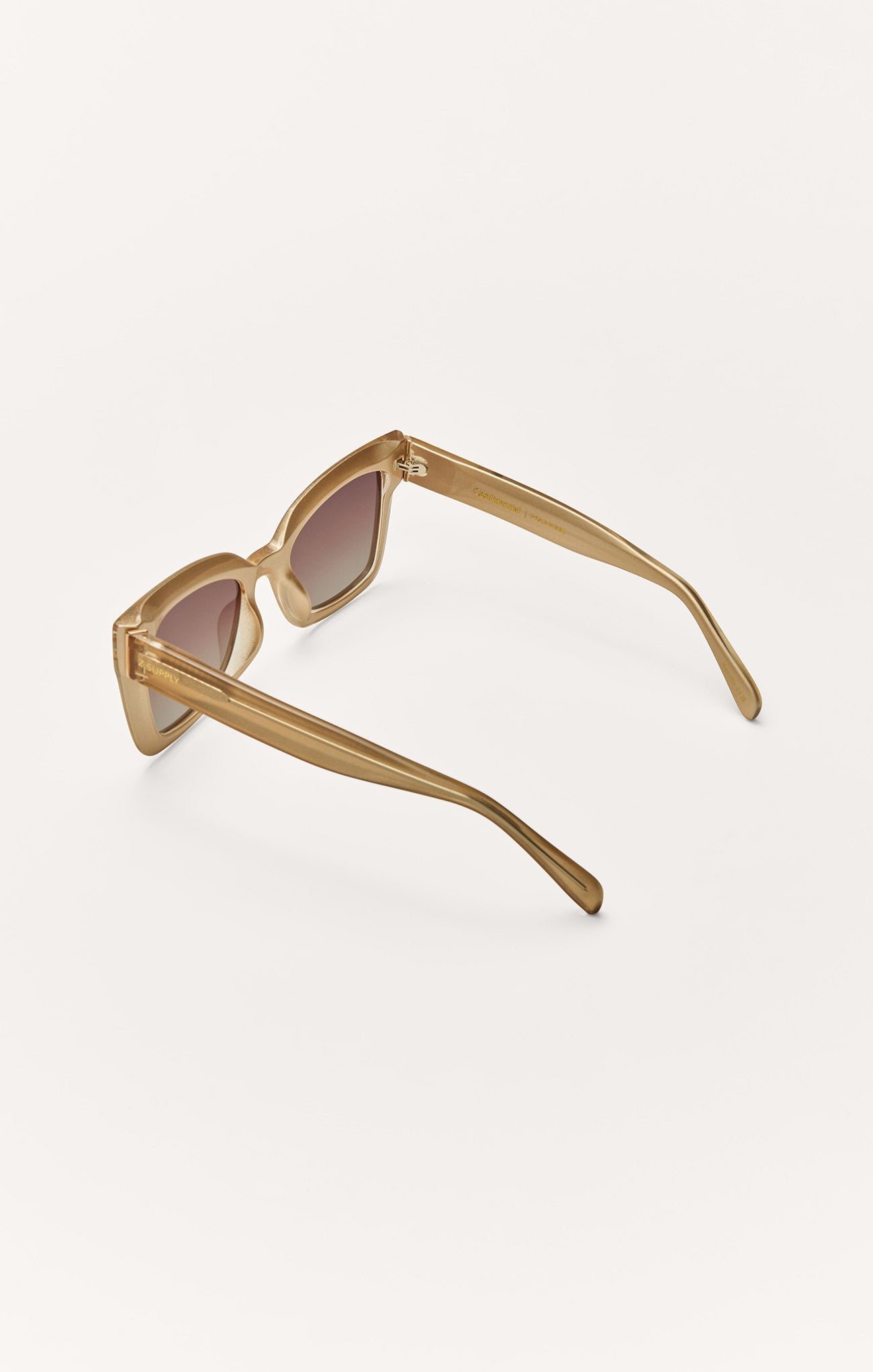 Confidential Polarized Sunglasses