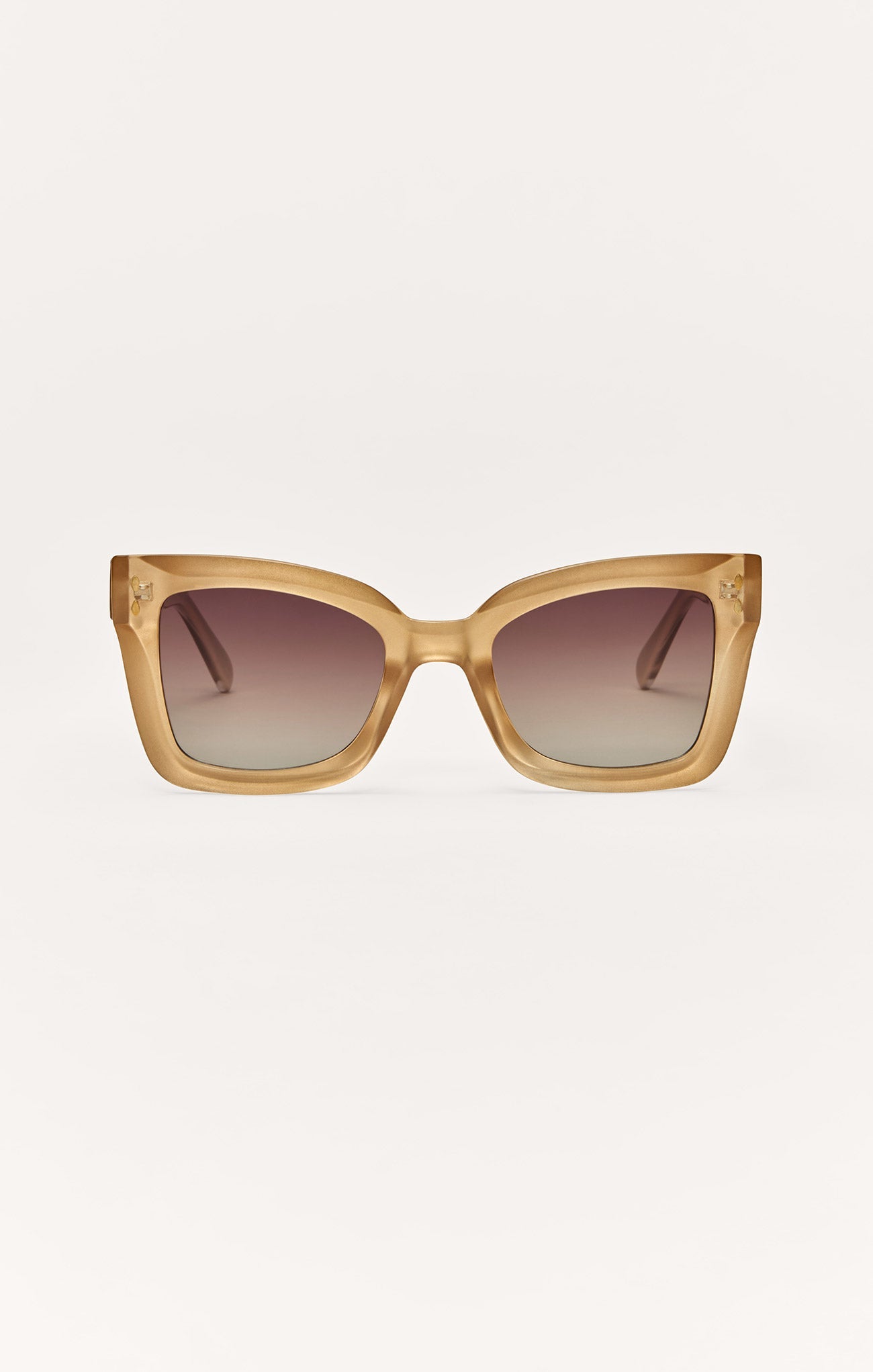 Confidential Polarized Sunglasses