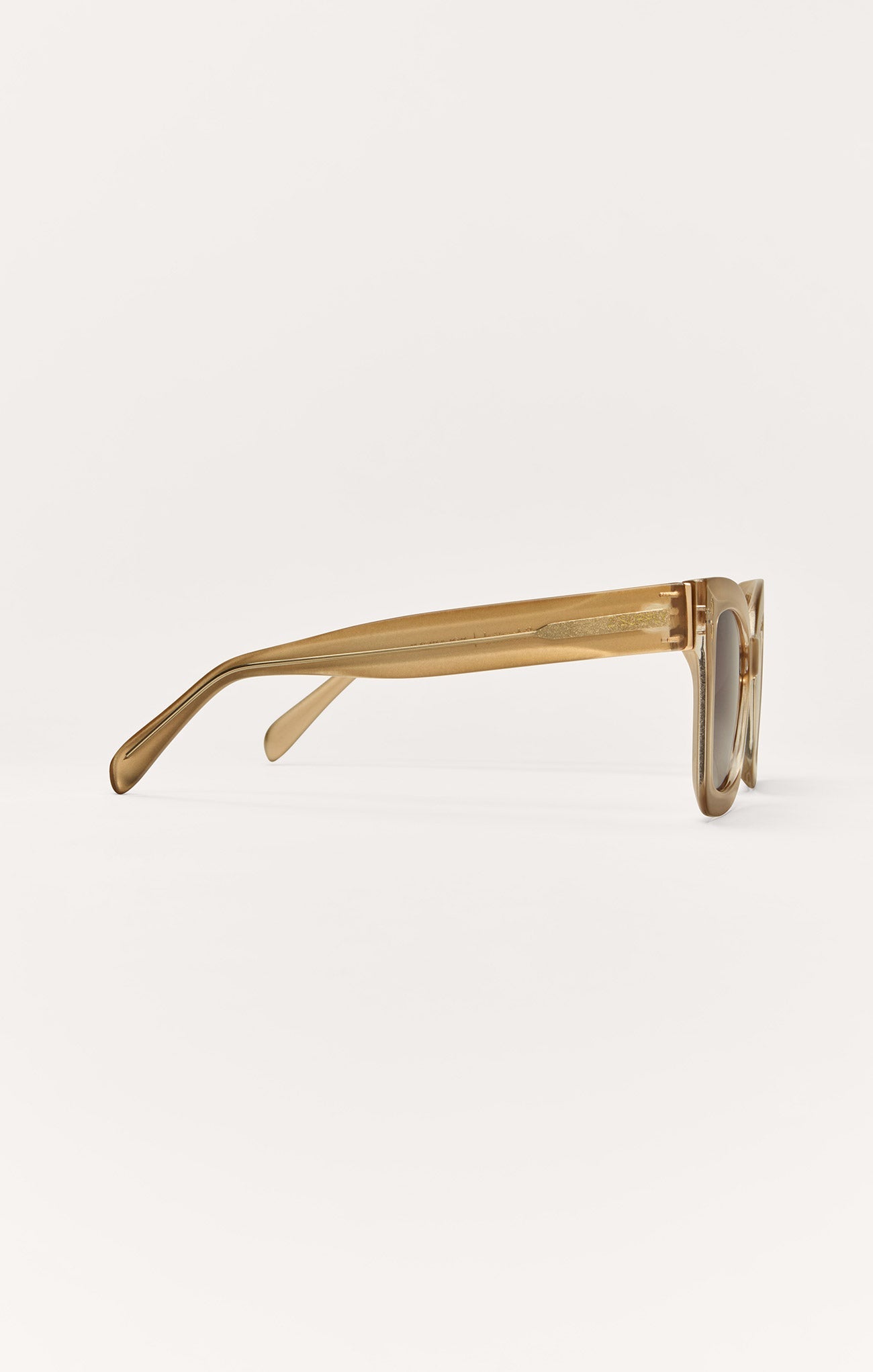 Confidential Polarized Sunglasses