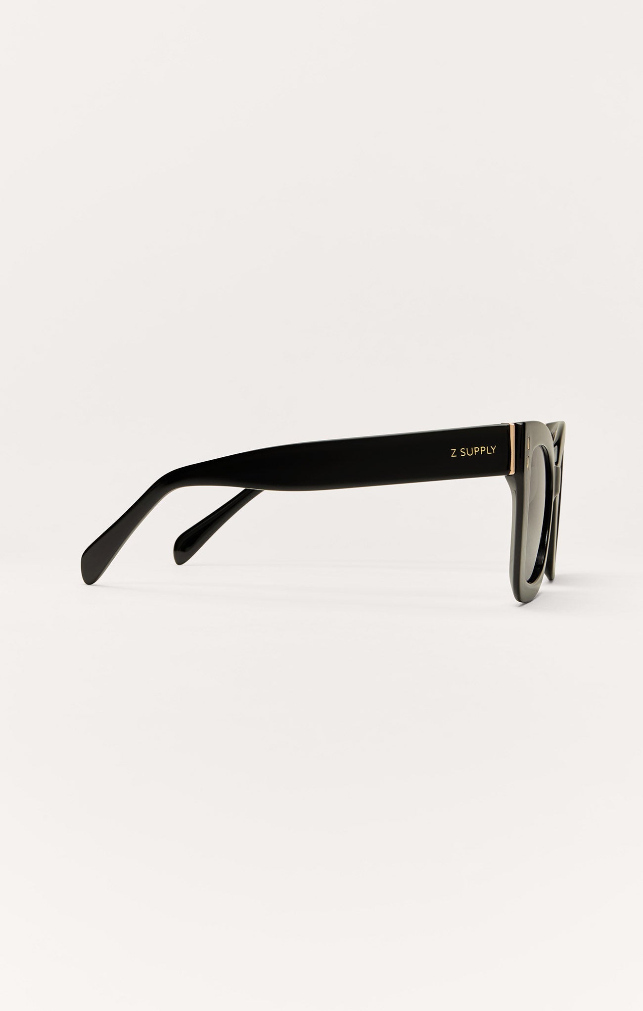Confidential Polarized Sunglasses