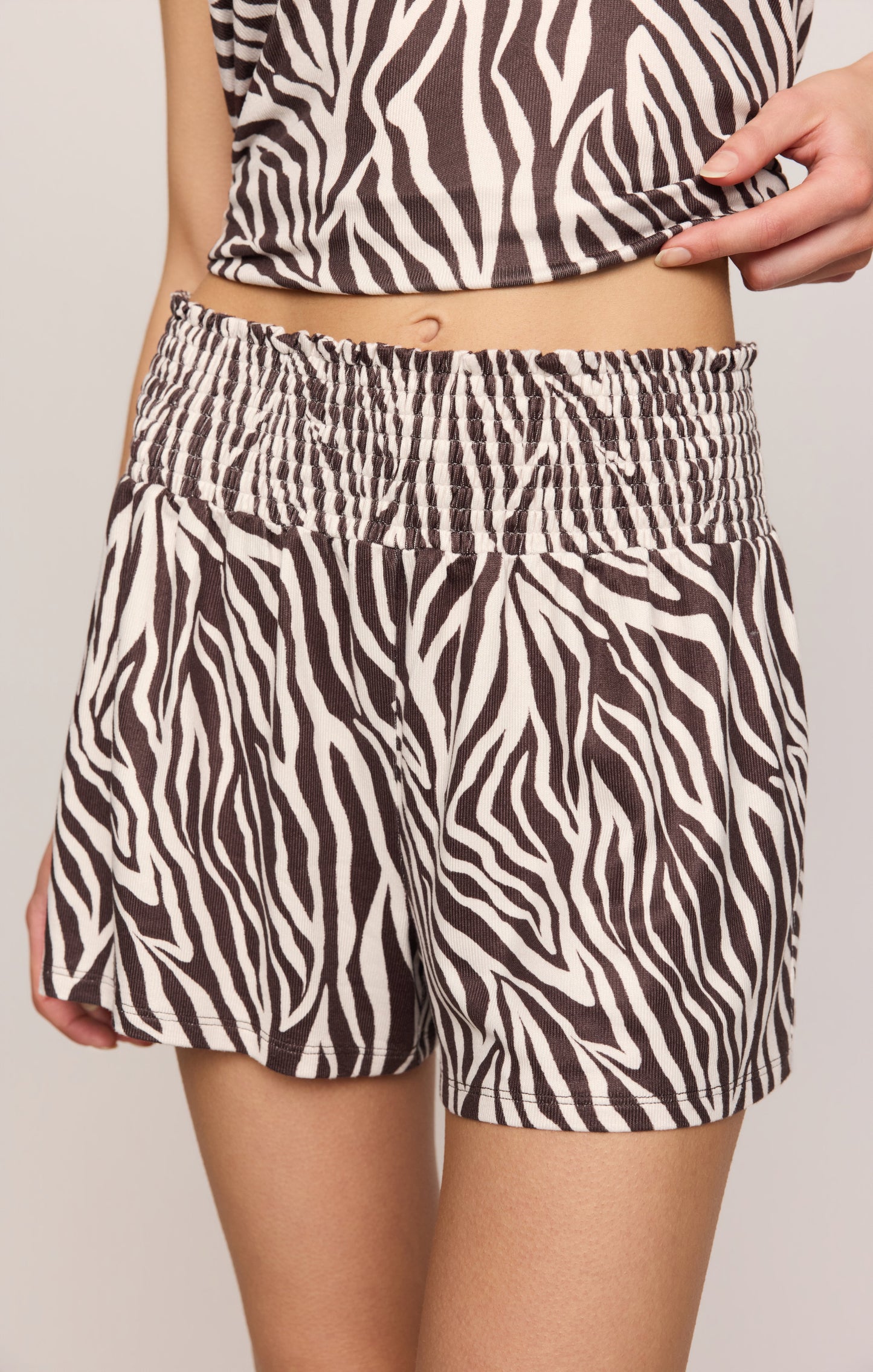 Zebra Set