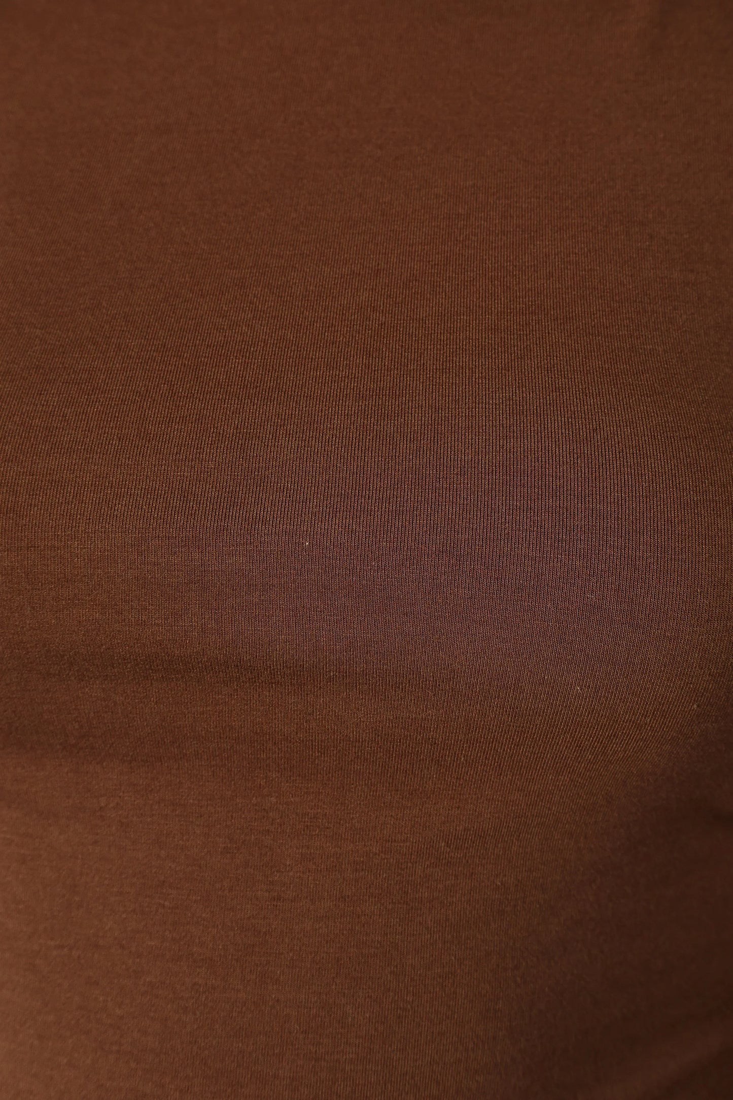 Wanda Long Sleeve Top - Coco Brown
