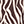 Zebra Set