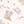 Dawn Desert Rose Short