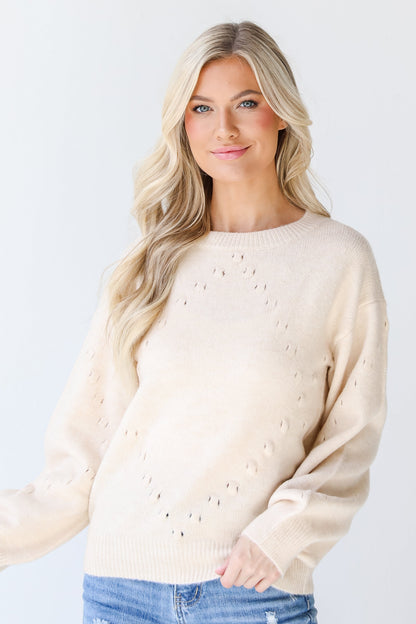 Chilly Days Ahead Sweater